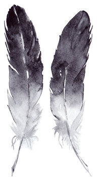 Watercolor black and white feather pair set isolated