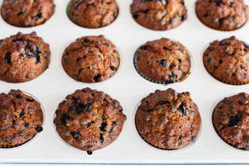 Blueberry muffins on baking plate