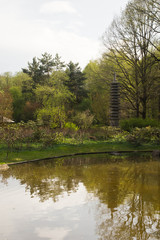 Japanese garden in spring