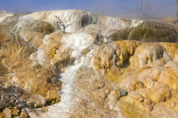 Yellowstone National Park-Mammoth Hot Springs