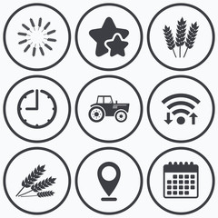 Agricultural icons. Wheat corn or Gluten free.
