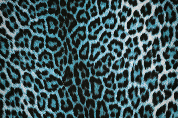Beautiful blue leopard pattern fur background (animal print wallpaper)