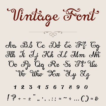 Elegant Calligraphic Script Font vector typeface letters numbers