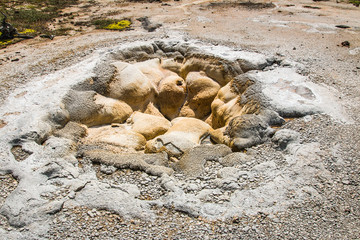 Old Faithful basin in Yellowstone National Park