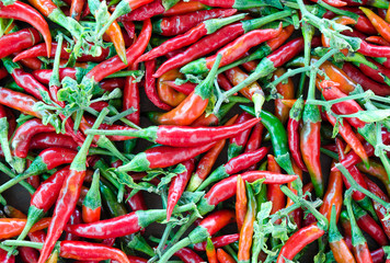 Red hot chili background