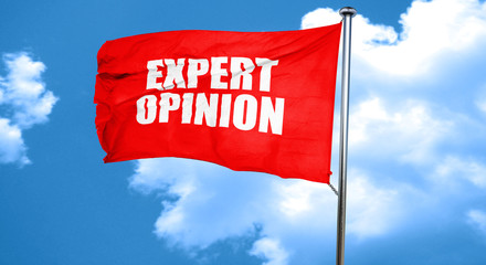expert opinion, 3D rendering, a red waving flag