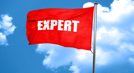 expert, 3D rendering, a red waving flag