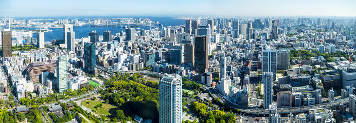 The full viw of Tokyo city in the summer
