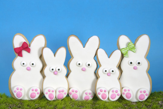 Family of Home made designer Easter Bunny Cookies sitting up on grass with blue background greeting card style