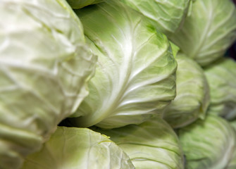 Cabbage.