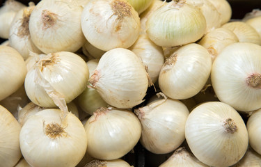 Ripe onion white