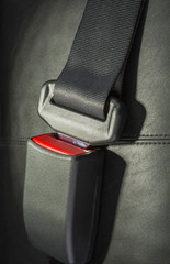 seat belt - 111039415