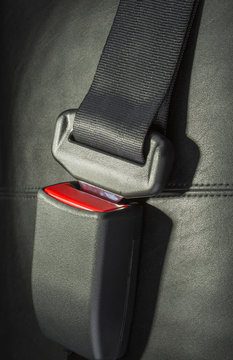 seat belt