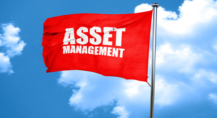 asset management, 3D rendering, a red waving flag