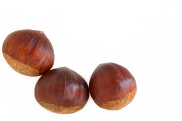 Chestnuts on White Background