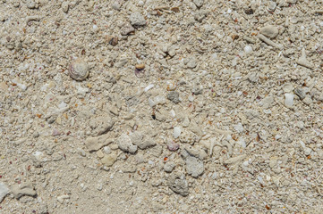 rocky beach sand