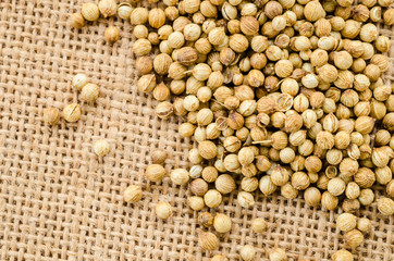 Close up of dried coriander seeds
