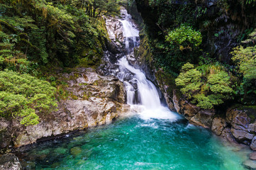 Waterfall in tropical rainforest, New Zealand