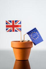 Blumentopf mit europäischer und britischer Fahne