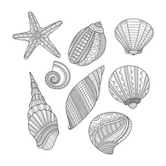 Black and white sea shells for coloring book. Vector 