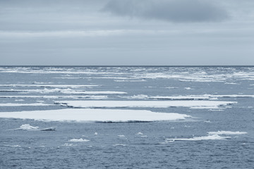 breaking spring ice floe at the sea