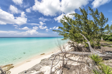 Landscape photo of tranquil island beach