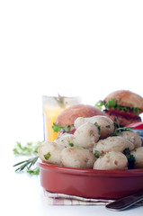 Young boiled potatoes. Closeup