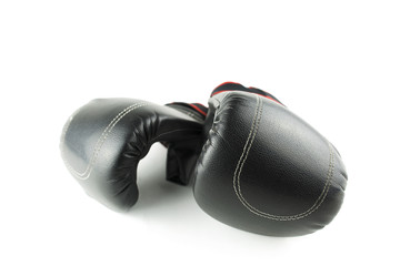 sweat , fight and win your match / the equipment isolated portrait of a boxer