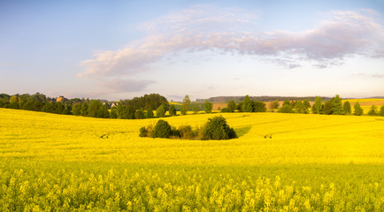 Wiosenne pola w niemczech © Mike Mareen