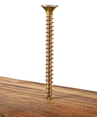 Screw screwed into wooden plank