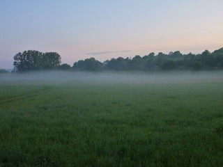 Fototapeta na wymiar misty morning in a grass walley