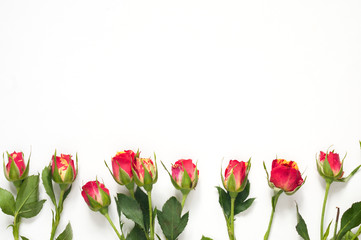 Roses mockup for presentations