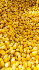 soft focus background Corn Pellets In Oven