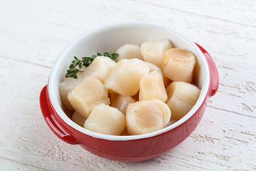 Raw scallops