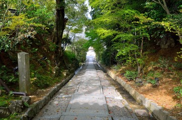 京都　高台寺台所坂