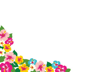 Illustration of the hibiscus. © perori