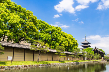 京都　世界遺産　東寺