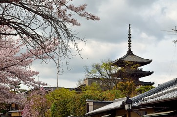 Fototapeta na wymiar 京都　八坂の塔