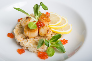 Scallop and risotto