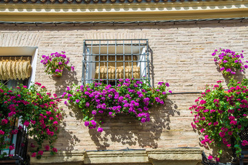 Fototapeta na wymiar Windows, flowers, Cordoba, Andalusia, Spain