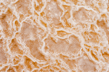 Salt crystals on the Dead Sea shore, Jordan. dead sea salt crystals.
