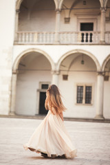 Fototapeta premium Beautiful girl, model with long hair posing in old castle near columns. Krakow Vavel