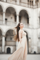 Beautiful girl, model with long hair posing in old castle near columns. Krakow Vavel