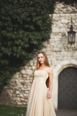 Young woman with long dress and hair posing in park  near old gate