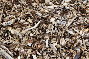 Close up of wood chippings. Good for a background texture.