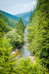Fototapeta na wymiar The river flows between green mountains