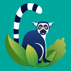 lemur in the grass © little_airplane