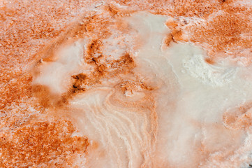 Fototapeta premium Fleur de Sel - Flor de Sal - Sea Salt