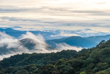 Sunrise over jungle in cameron highlands, Malaysia