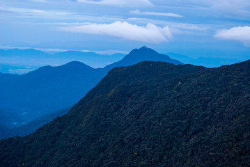 Sunrise over jungle in cameron highlands, Malaysia